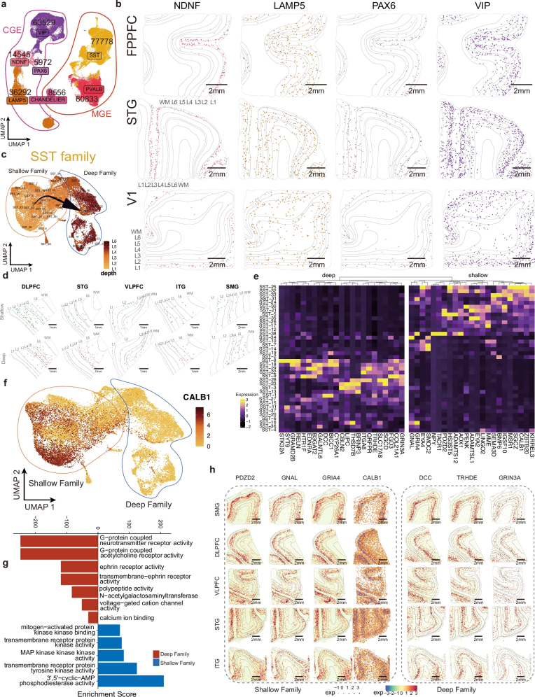 微信图片_2025-11-09_194054_813