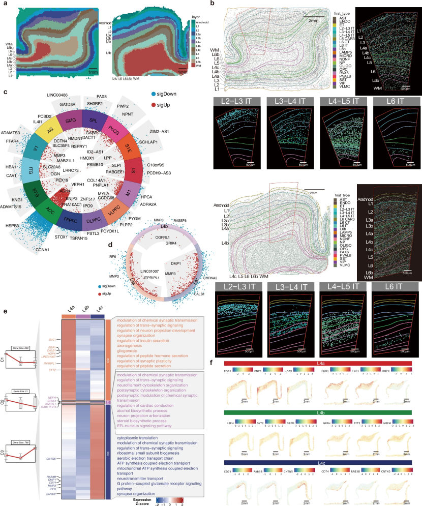 微信图片_2025-11-09_194105_762