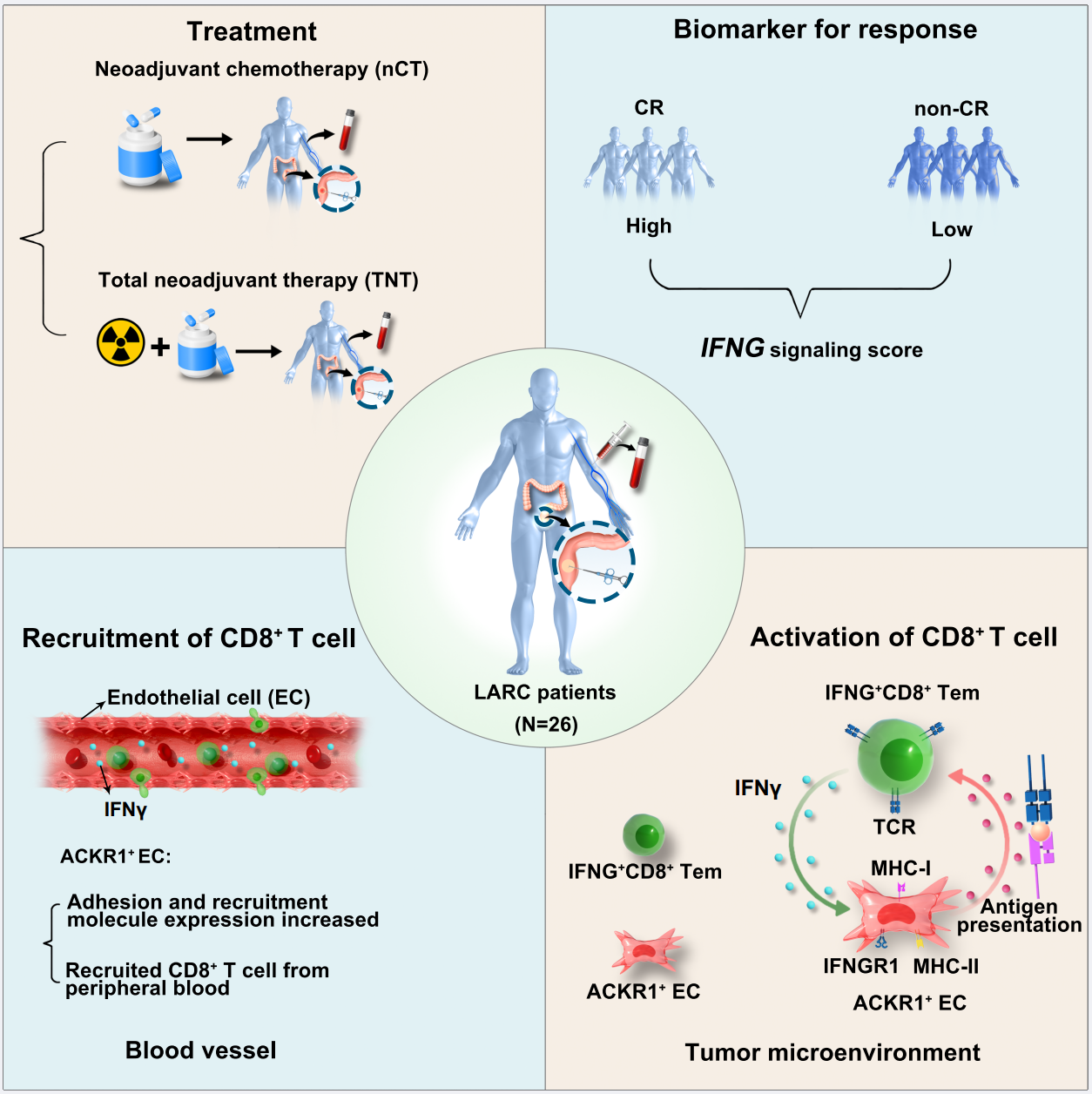 微信图片_2025-11-09_194503_589