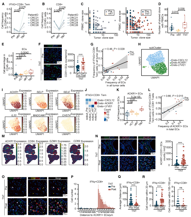 微信图片_2025-11-09_194643_760
