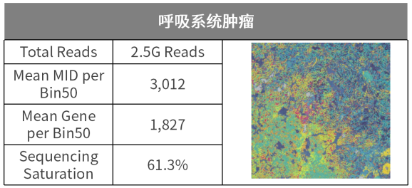 微信图片_2025-12-02_172814_848