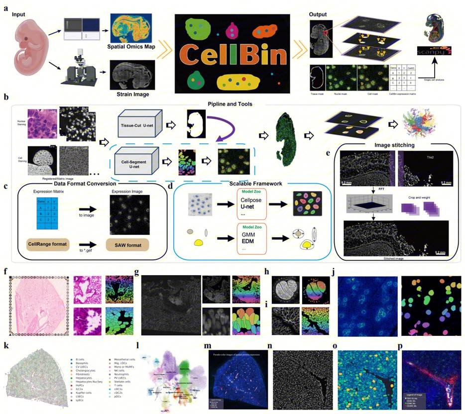 微信图片_2025-12-02_173823_105
