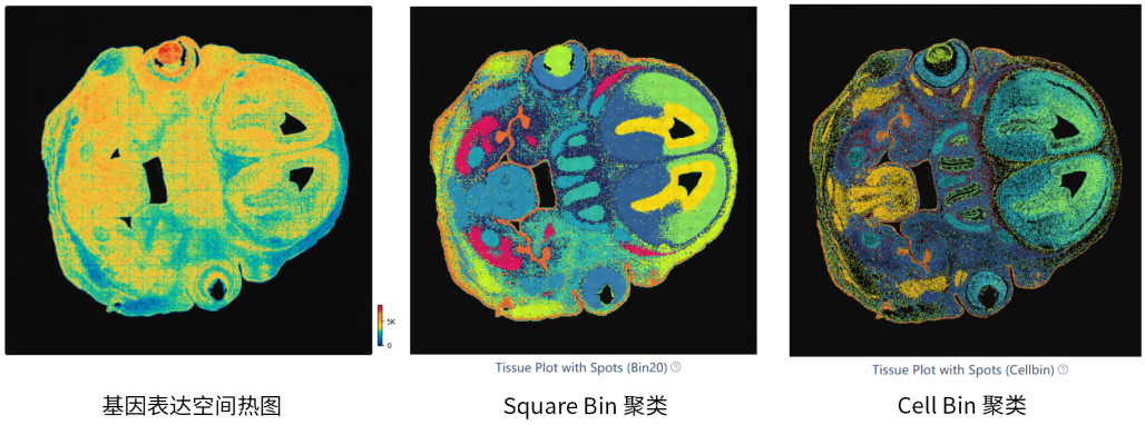 微信图片_2025-12-03_114328_183
