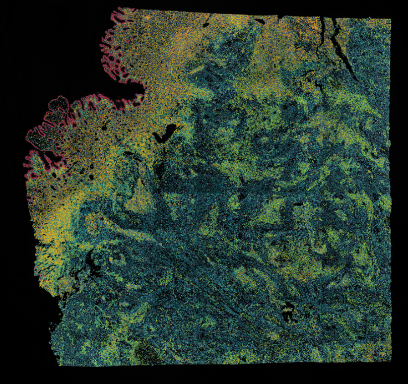 微信图片_2025-12-03_143101_425