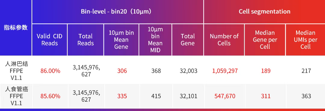 微信图片_2025-12-03_155642_000