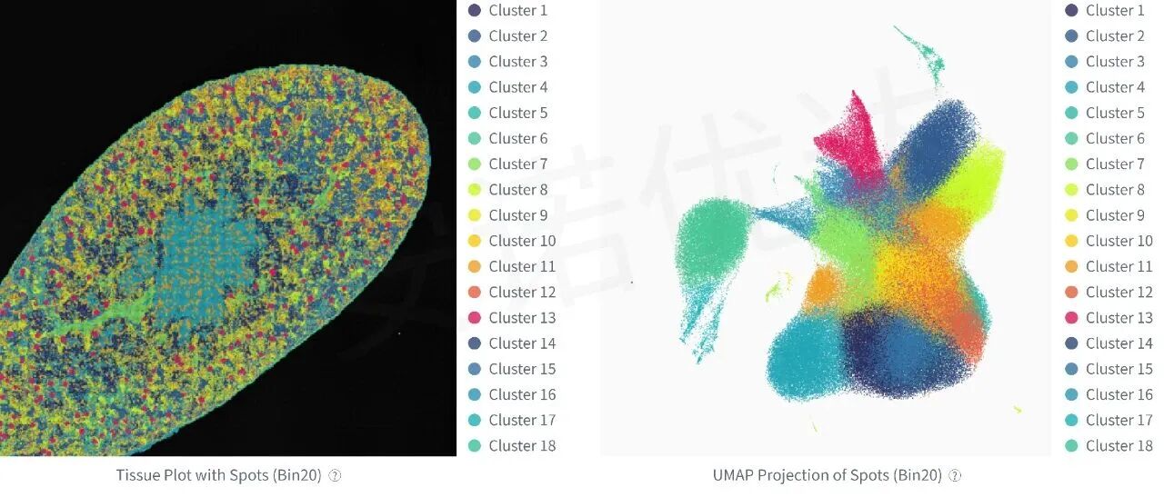 微信图片_2025-12-05_131757_815