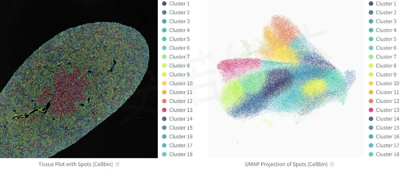 微信图片_2025-12-05_131759_703