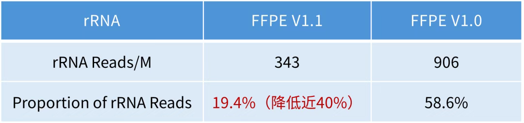 微信图片_2025-12-05_132533_158