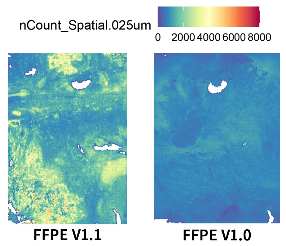 微信图片_2025-12-05_132541_479