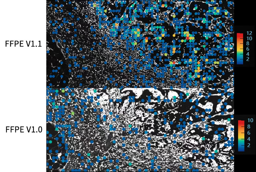 微信图片_2025-12-05_132543_022