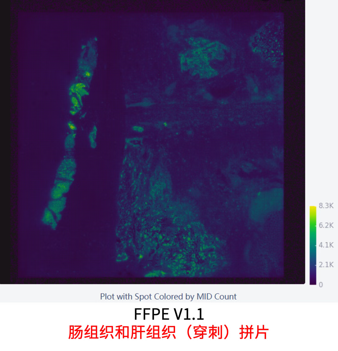 微信图片_2025-12-05_132548_630