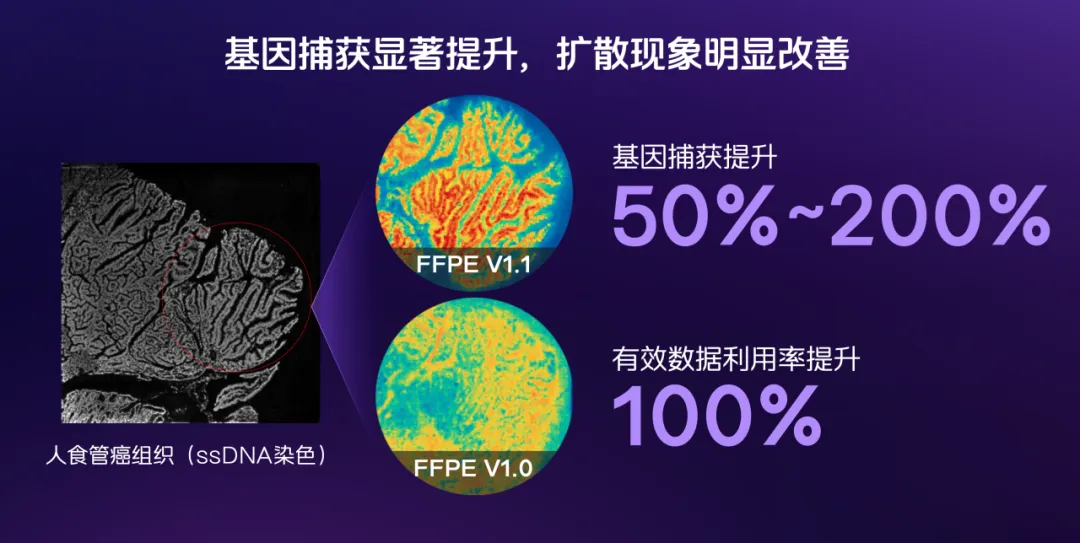 微信图片_2025-12-19_171330_013