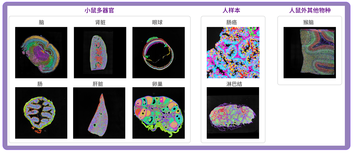 微信图片_20250708102134