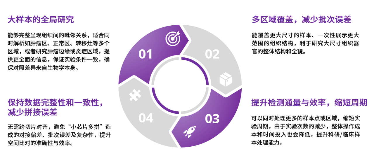 微信图片_20250731160641