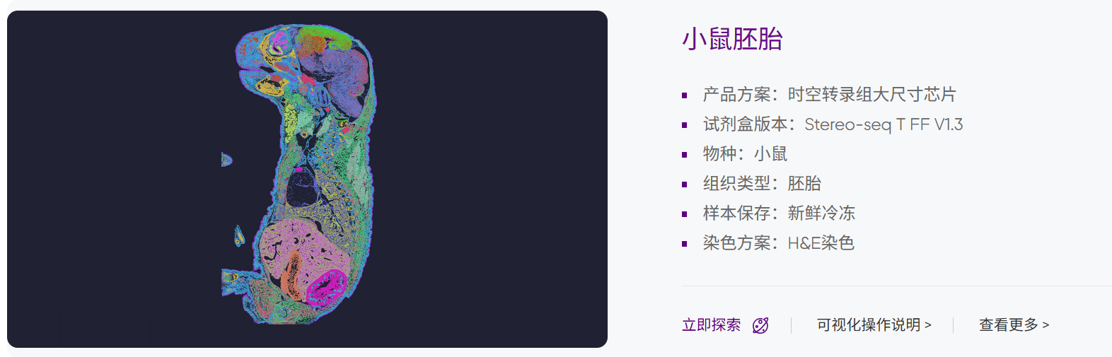 微信图片_20250731160910