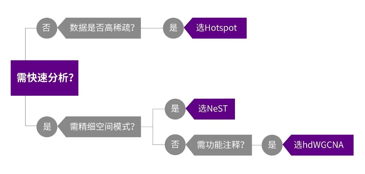 微信图片_20250807091744