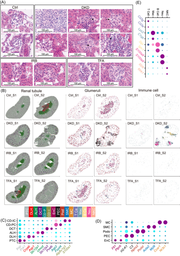 微信图片_2026-01-04_175246_806