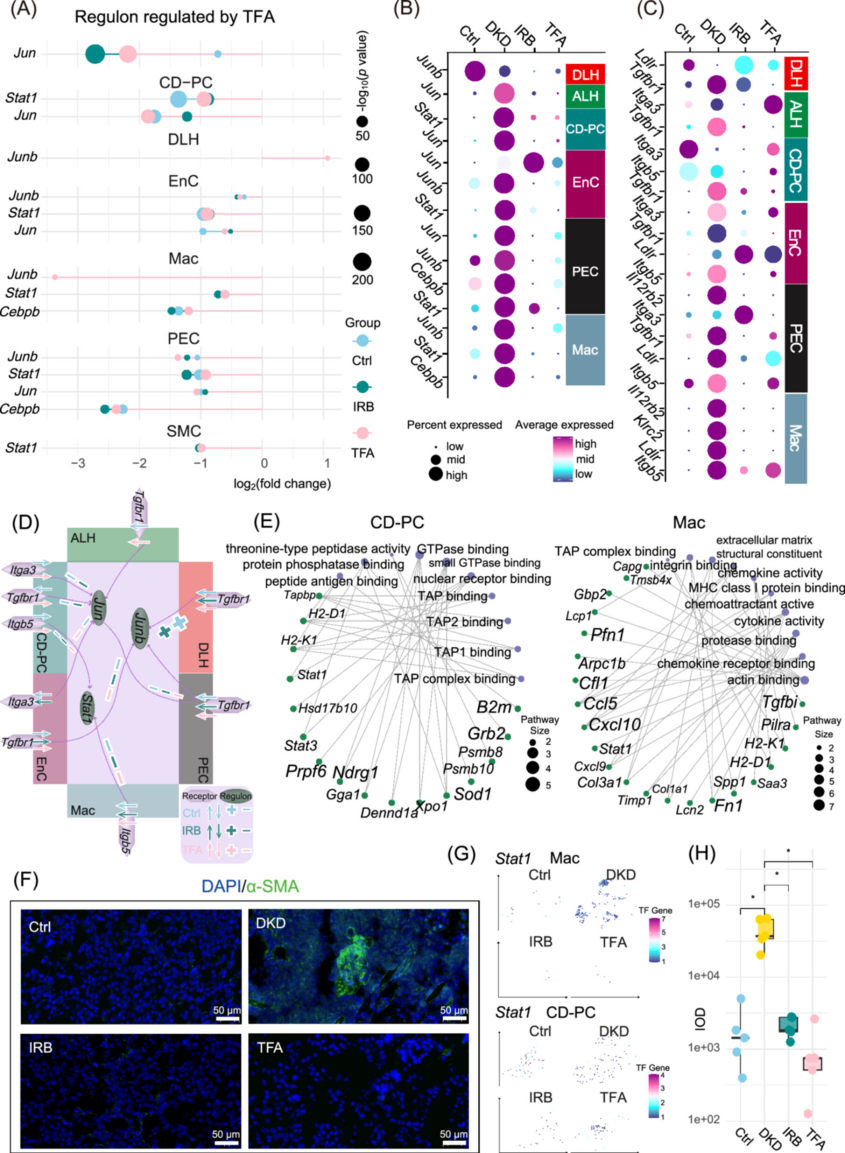 微信图片_2026-01-04_175248_222