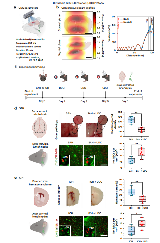 微信图片_2026-01-09_143627_503