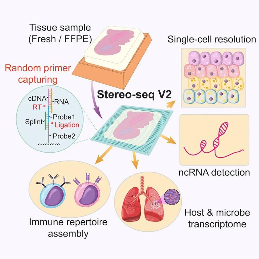 微信图片_2026-01-09_150110_944
