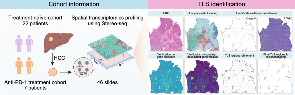 微信图片_2026-01-09_150121_285