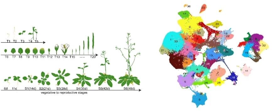微信图片_2026-01-09_150124_950