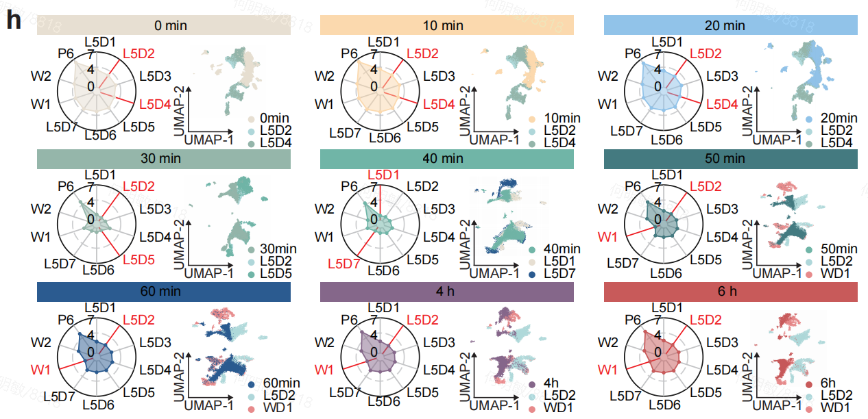 微信图片_2026-03-25_173701_402