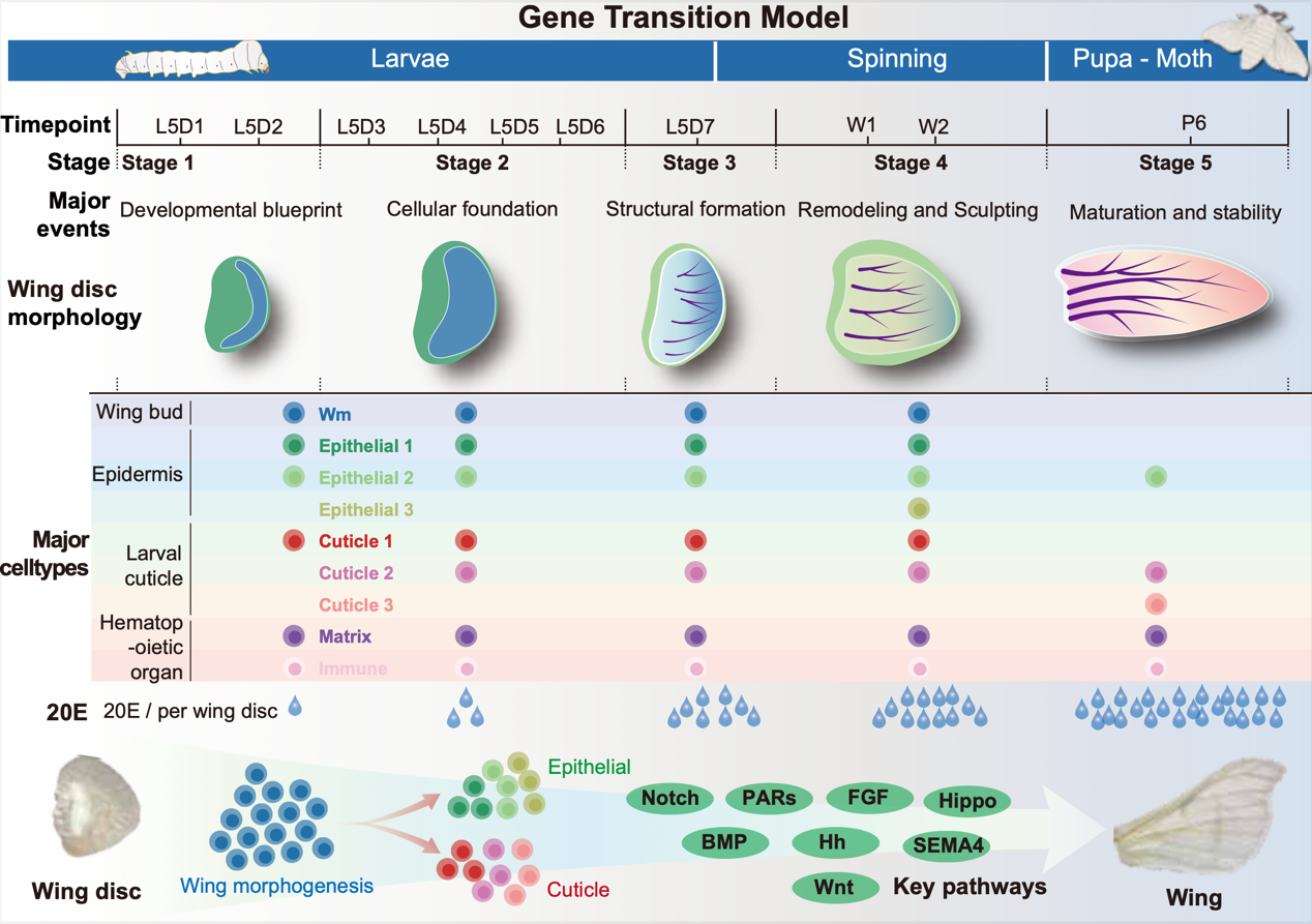 微信图片_2026-03-25_173706_964
