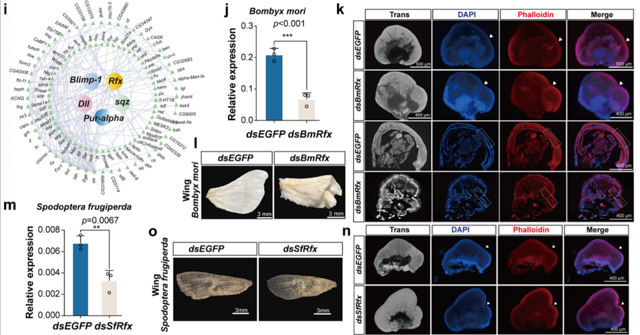 微信图片_2026-03-25_173710_013