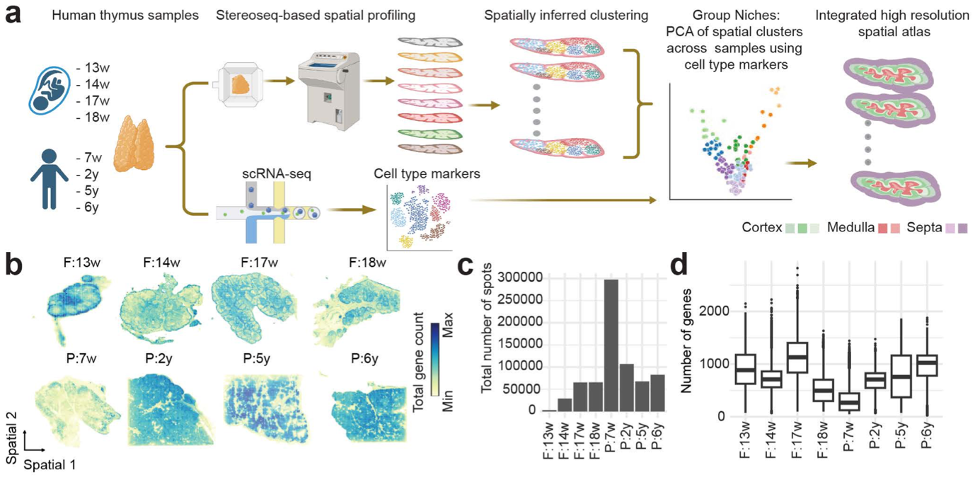 微信图片_2026-03-25_174413_761