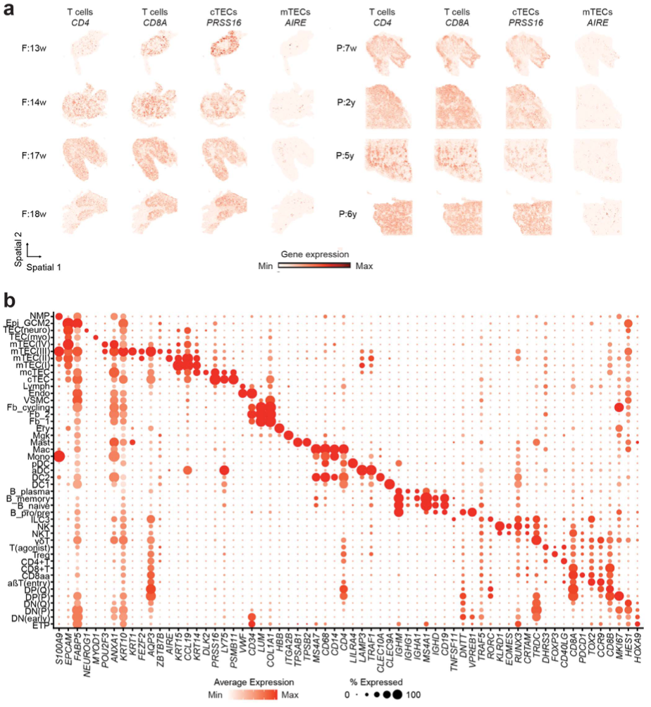 微信图片_2026-03-25_174415_773