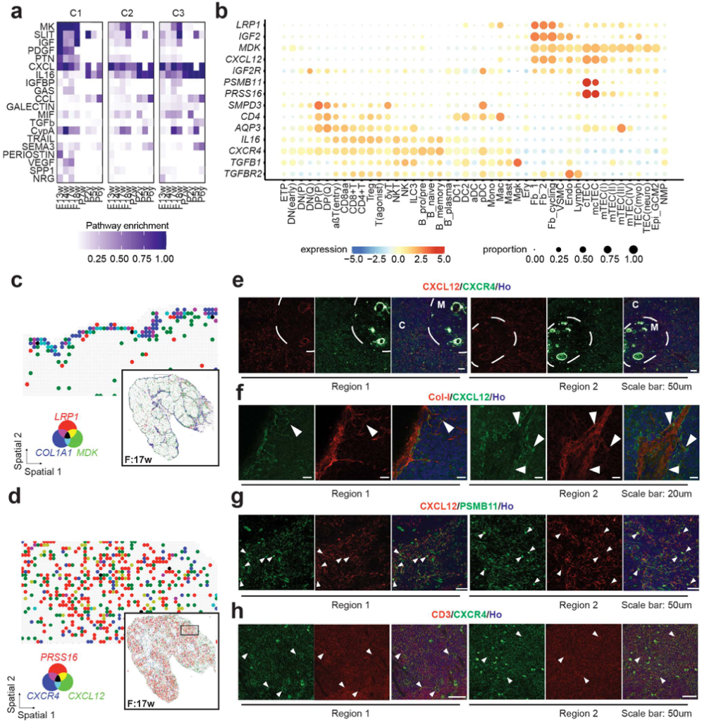 微信图片_2026-03-25_174417_627