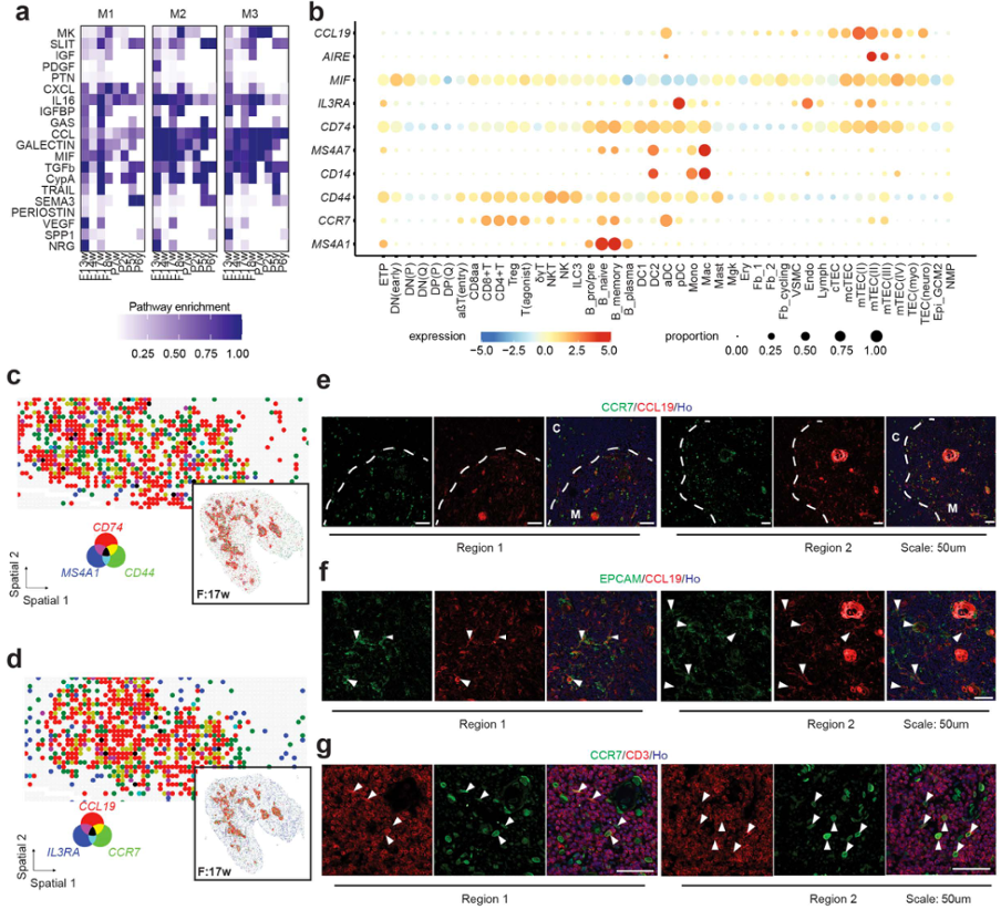 微信图片_2026-03-25_174423_302