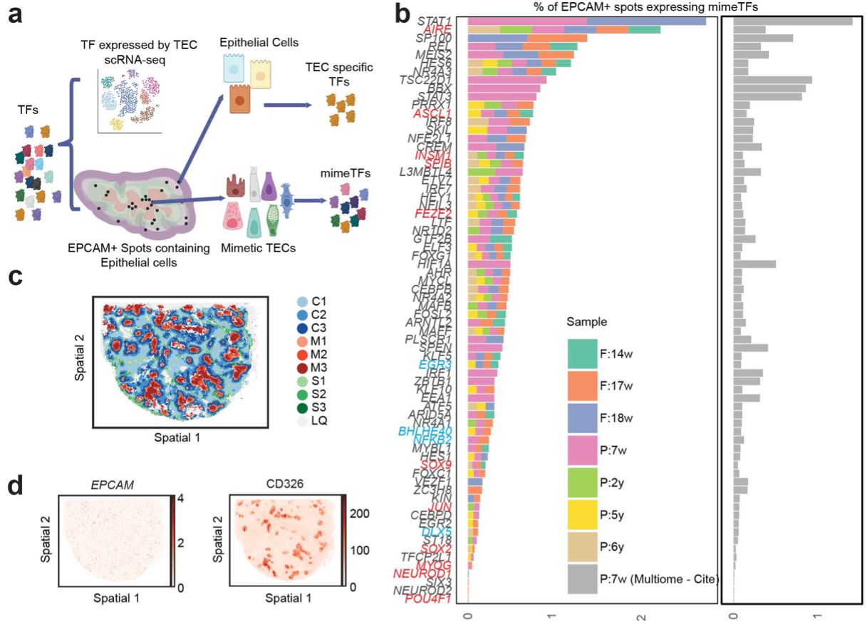 微信图片_2026-03-25_174424_893