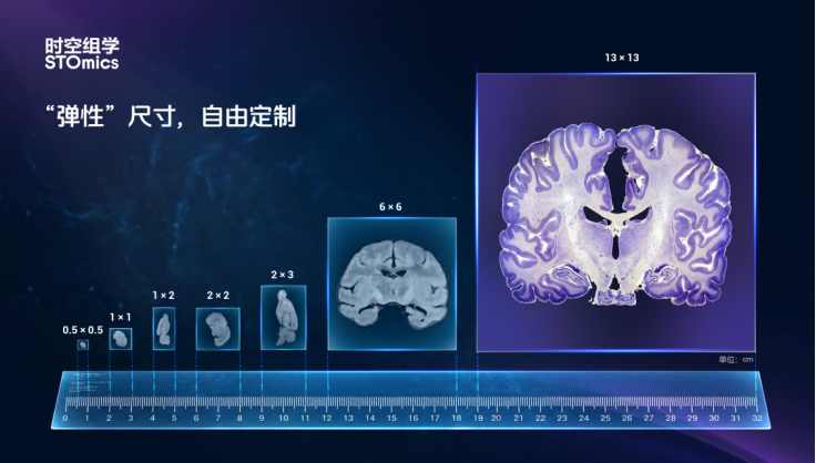 微信图片_2026-09-04_143403_494 微信图片_2026-09-04_143403_494