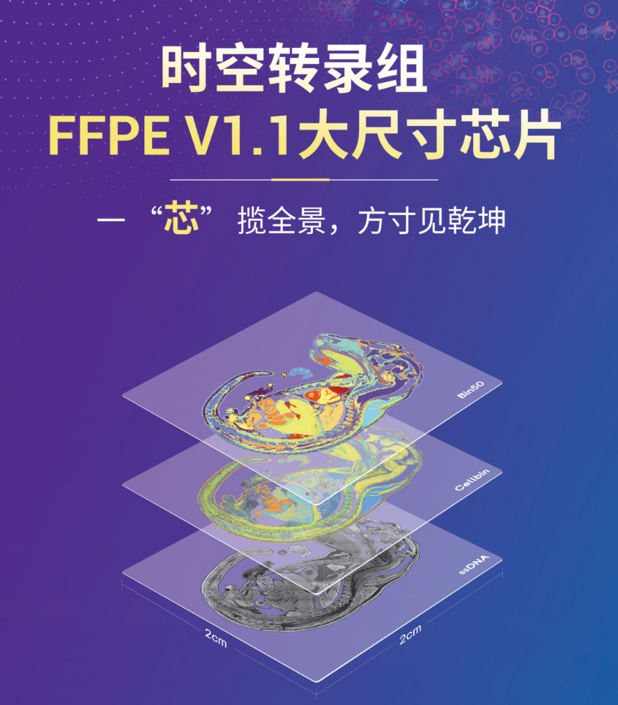 微信图片_2026-09-23_173217_599 微信图片_2026-09-23_173217_599