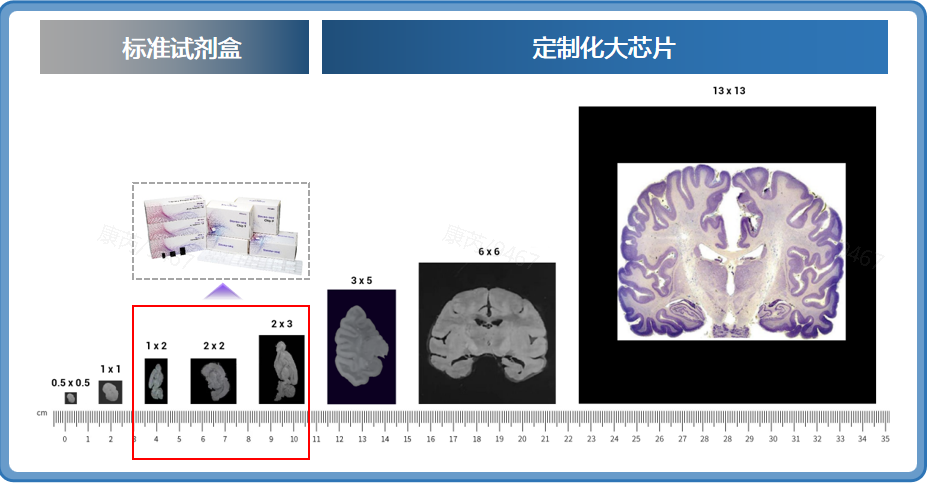 微信图片_2026-09-23_173220_484 微信图片_2026-09-23_173220_484