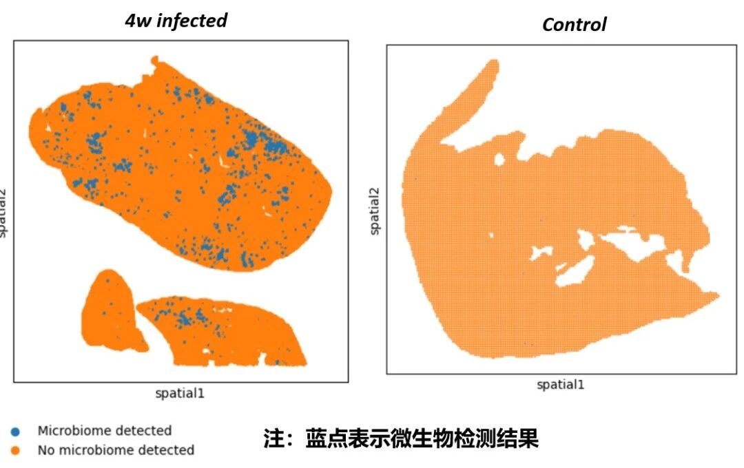 微信图片_2026-10-19_100319_680 微信图片_2026-10-19_100319_680