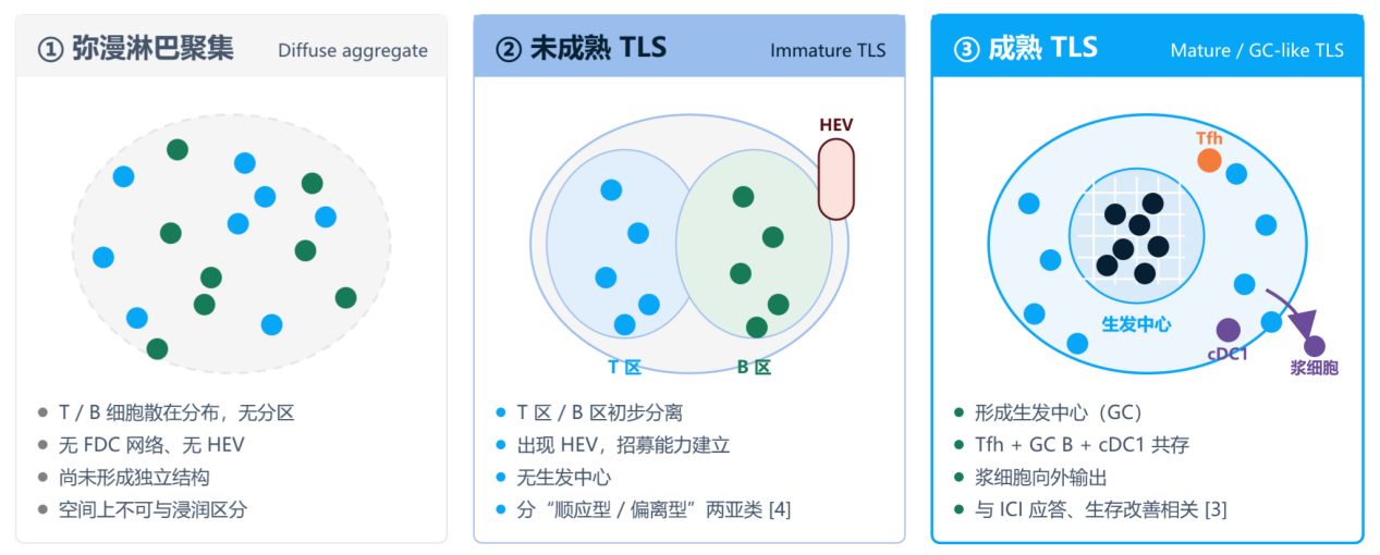 微信图片_2026-10-29_165756_522 微信图片_2026-10-29_165756_522
