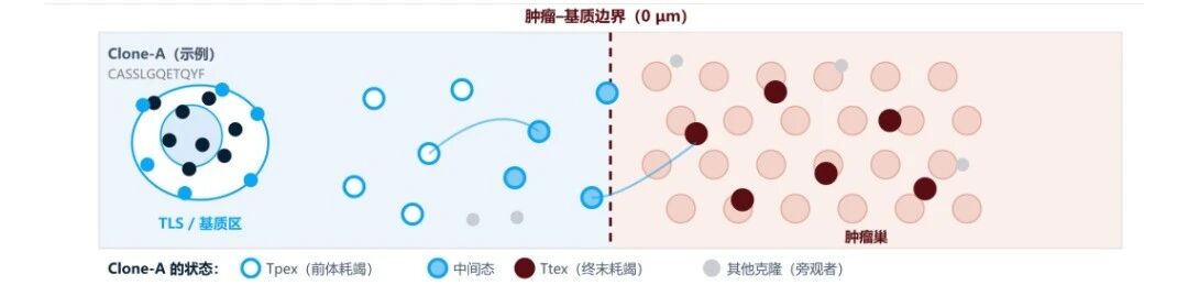 微信图片_2026-10-29_165800_452 微信图片_2026-10-29_165800_452