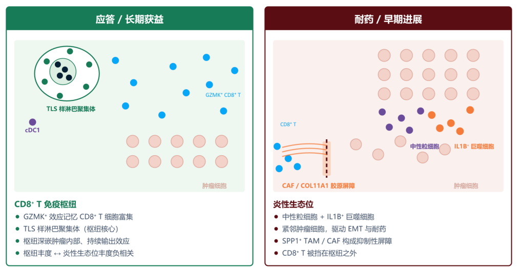 微信图片_2026-10-29_165801_970 微信图片_2026-10-29_165801_970