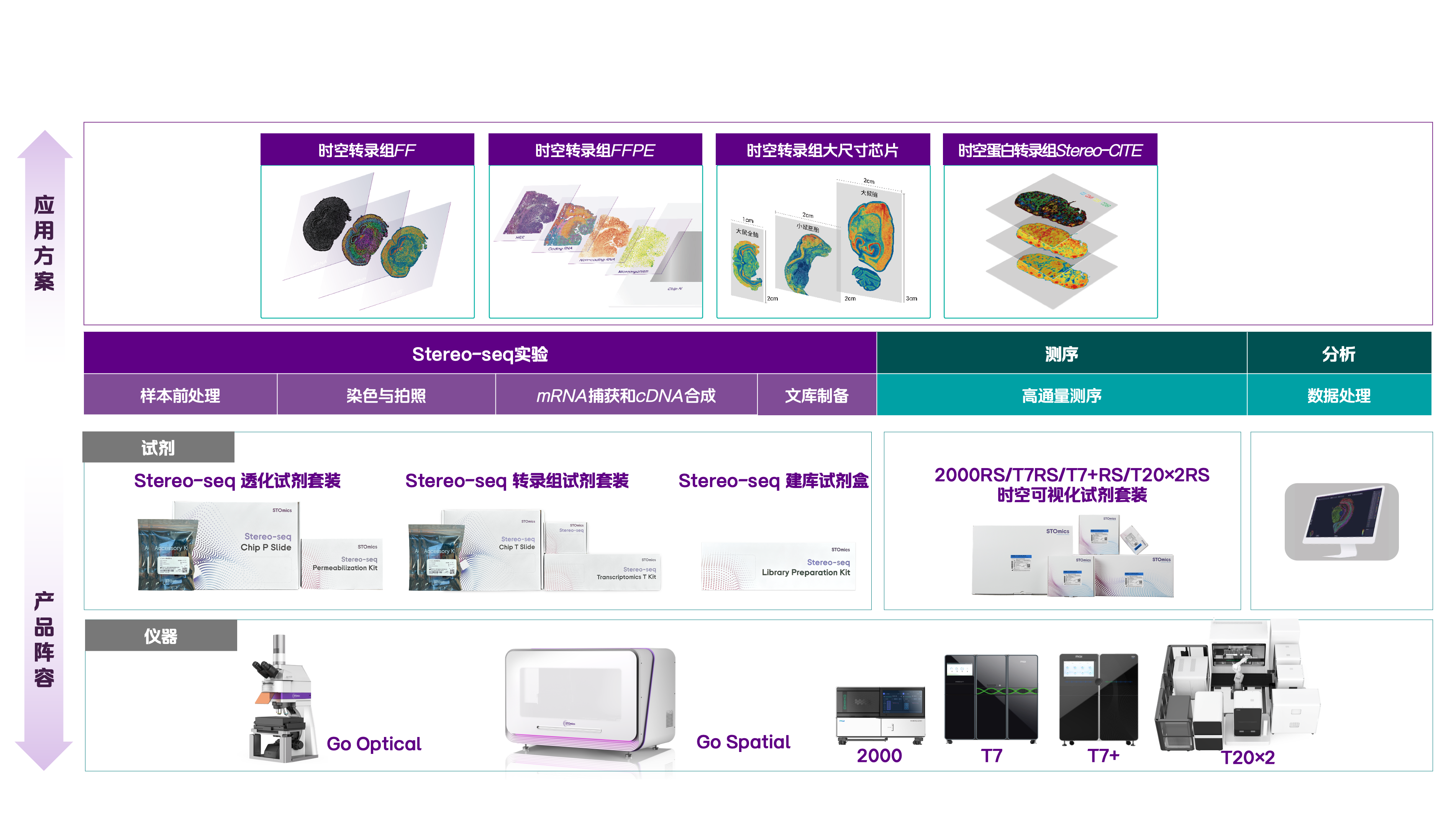 时空转录组FF V1.3产品订购信息