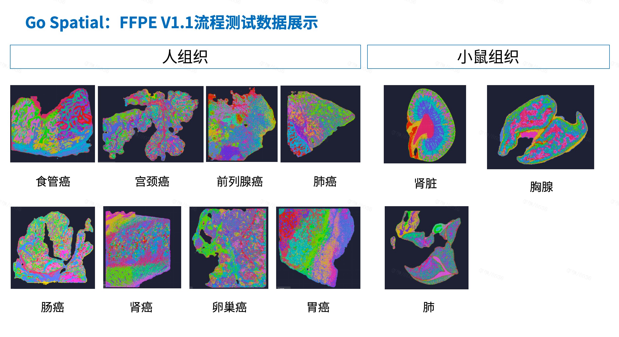 结果稳定可靠