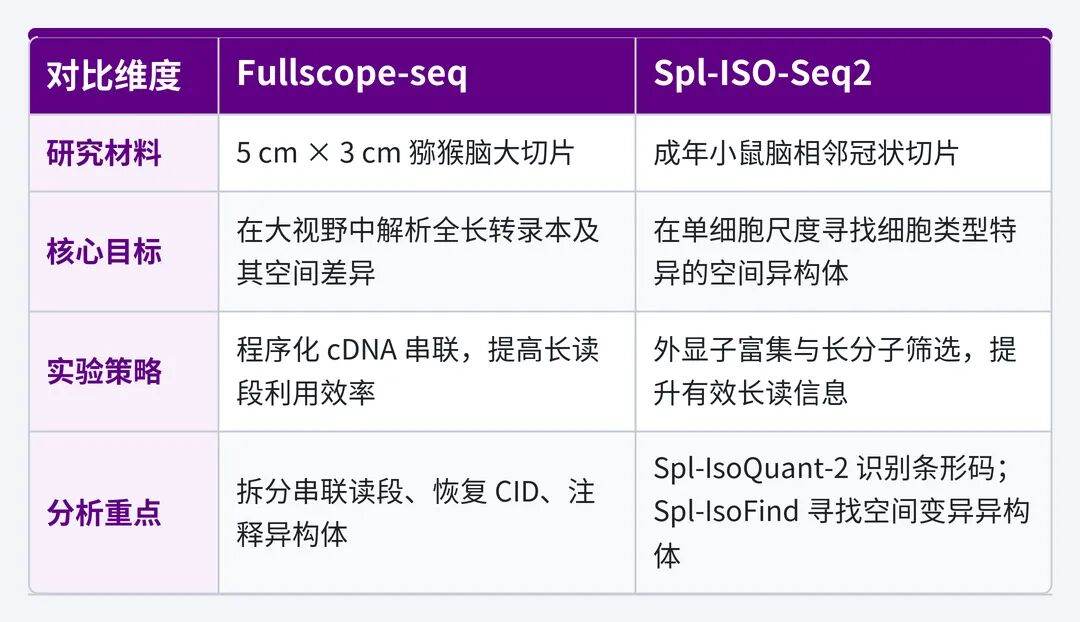微信图片_20261015114453_192_2 微信图片_20261015114453_192_2