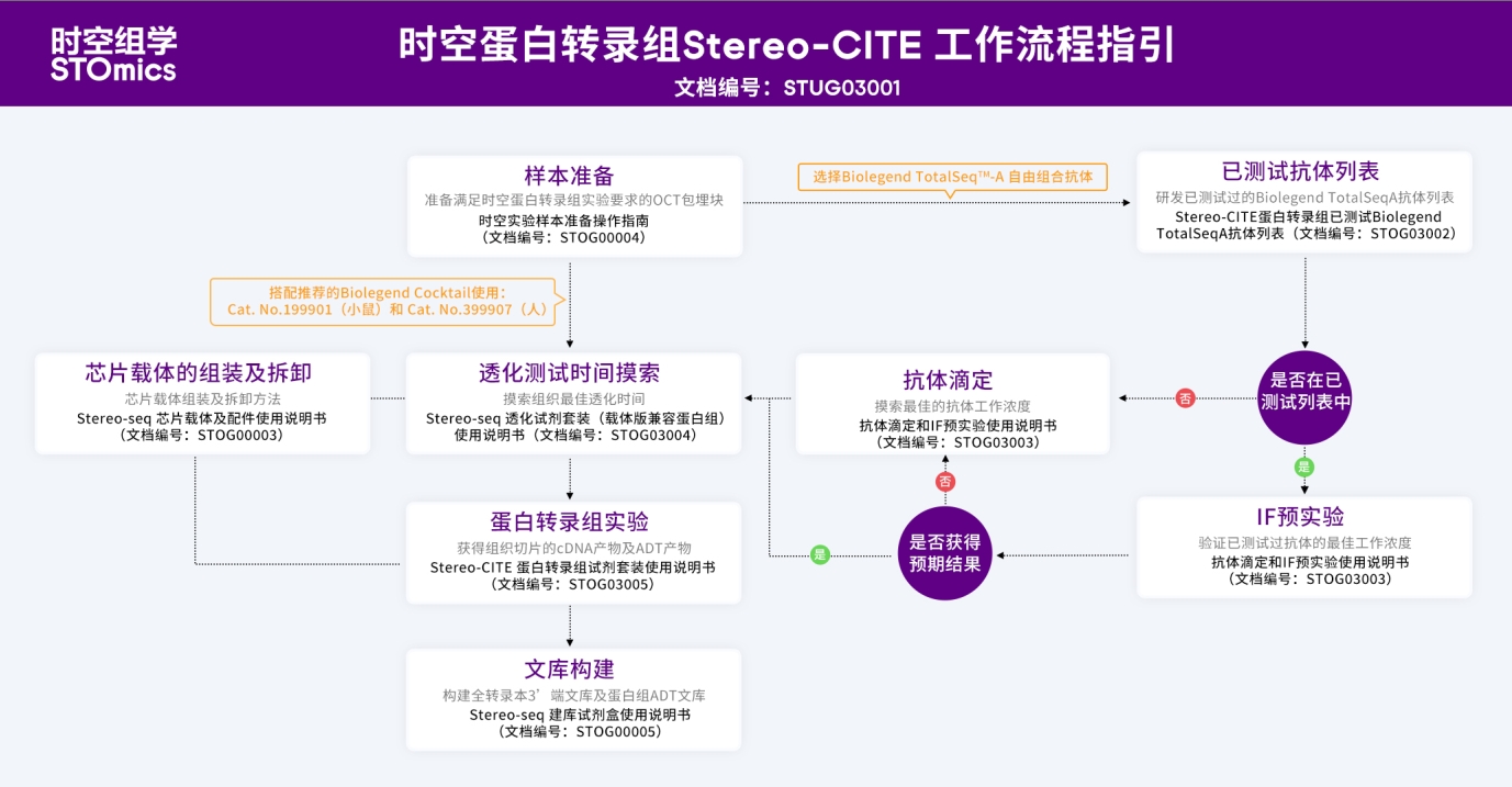 时空蛋白转录组Stereo-CITE 工作流程指引