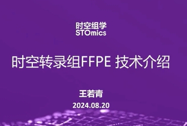 Stereo-seq FFPE技术助力时空病理研究