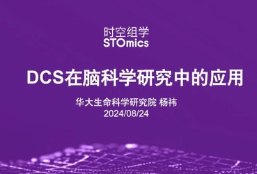 DCS在脑科学研究中的应用