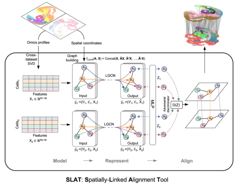 空间链接对齐工具 （SLAT），用于正确对齐异构切片