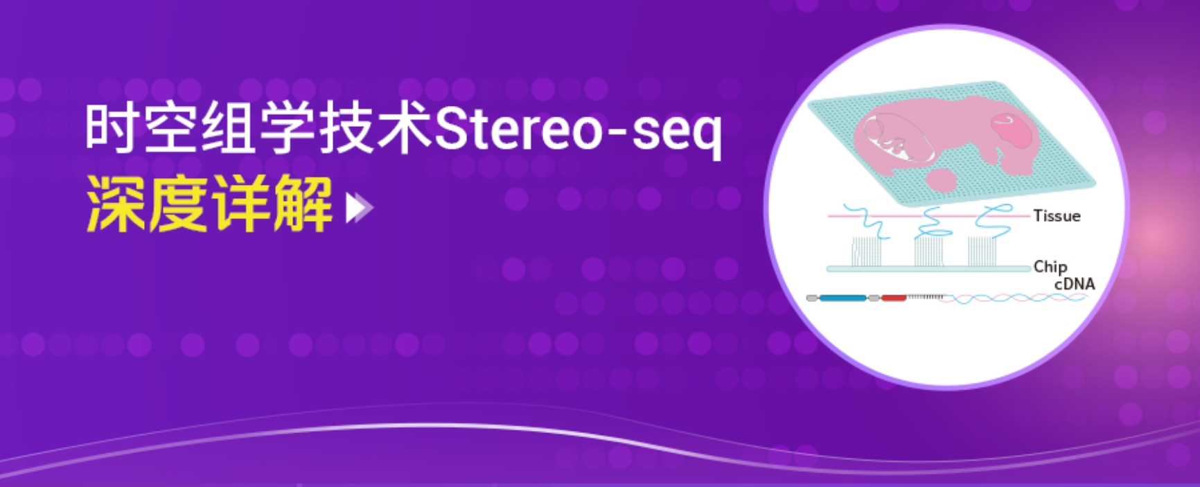 技术原理篇 | 高分辨、大视场、多组学、全物种，时空组学技术深度解读