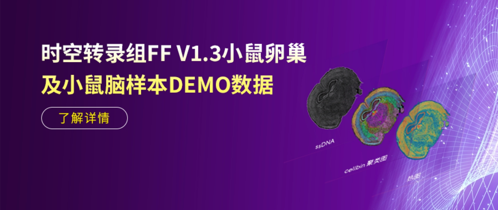 DEMO上新 | 更高捕获！时空转录组FF V1.3“秀”出“硬实力”